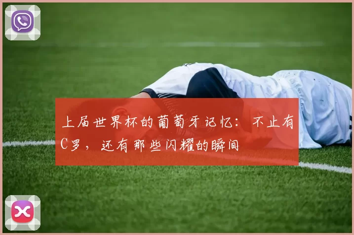 上届世界杯的葡萄牙记忆：不止有C罗，还有那些闪耀的瞬间
