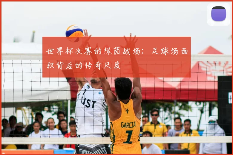 世界杯决赛的绿茵战场:足球场面积背后的传奇尺度