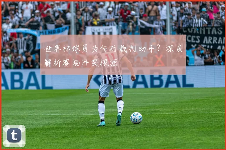 世界杯球员为何对裁判动手？深度解析赛场冲突根源