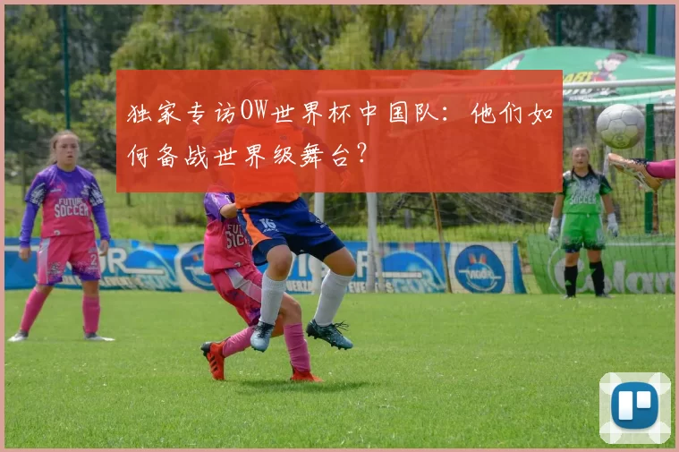 独家专访OW世界杯中国队:他们如何备战世界级舞台?