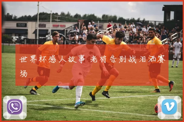 世界杯感人故事 老将告别战泪洒赛场