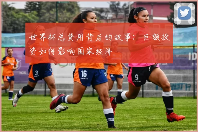 世界杯总费用背后的故事：巨额投资如何影响国家经济