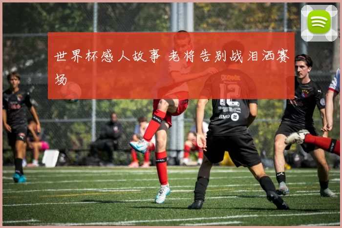 世界杯感人故事 老将告别战泪洒赛场
