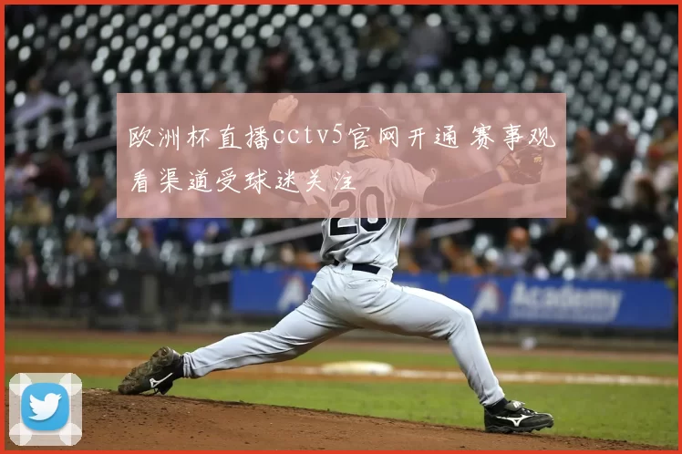 欧洲杯直播cctv5官网开通 赛事观看渠道受球迷关注