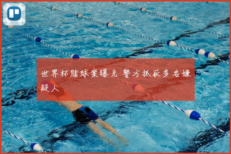 世界杯赌球案曝光 警方抓获多名嫌疑人