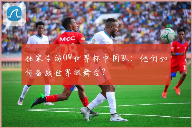 独家专访OW世界杯中国队：他们如何备战世界级舞台？