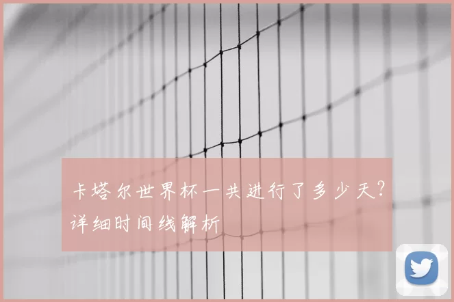 卡塔尔世界杯一共进行了多少天？详细时间线解析