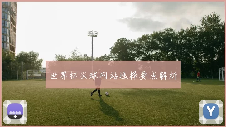 世界杯买球网站选择要点解析